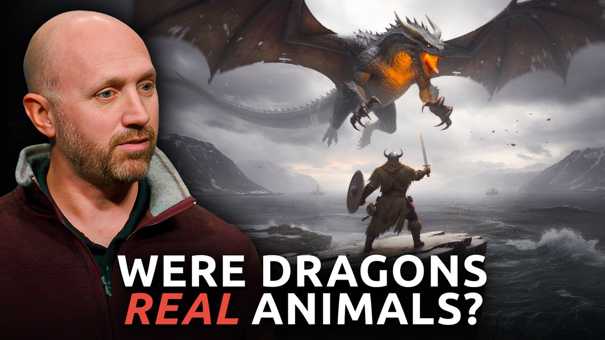 Most Christians don’t know THIS about dragons. Joel Leineweber shares fascinating physical evidence of dragons being real, explains why dinosaurs and humans lived at the same time, and more.