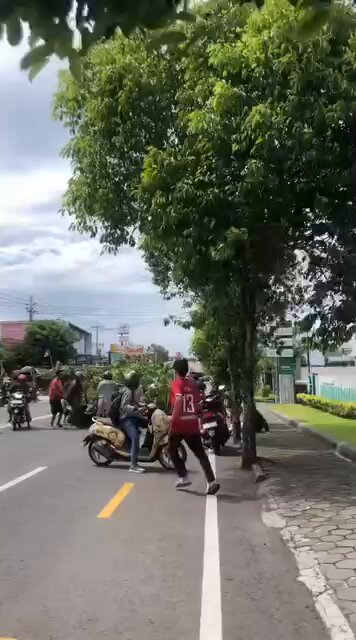 [Breaking News] 10:35 lur ada pohon tumbang terkena angin menimpa pengendara motor, Korban lecet2 Lokasi di depan kantor BPJS jalan gedongkuning ( maharani_vpa )