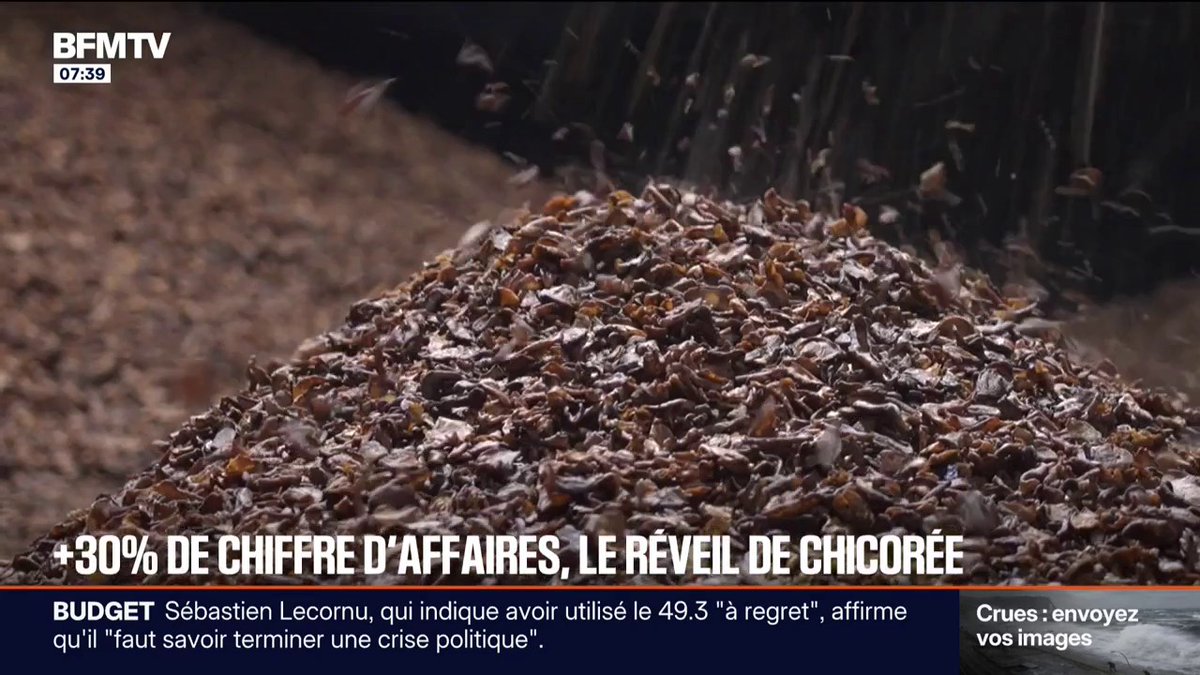 ☕ Au réveil, les Français sont de plus en plus à préférer la chicorée