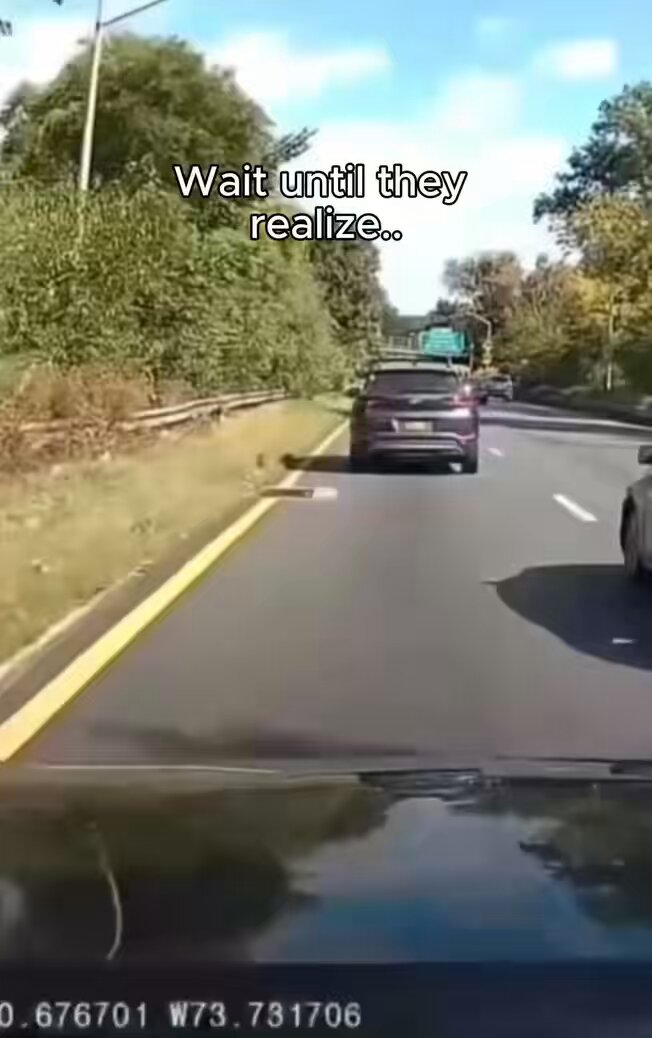 Dude saw the dashcam and KNEW 🤣