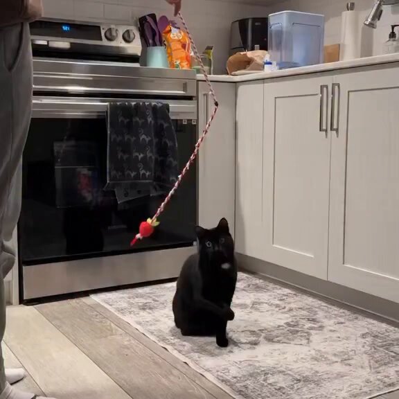 No look 🤣🤣🤣