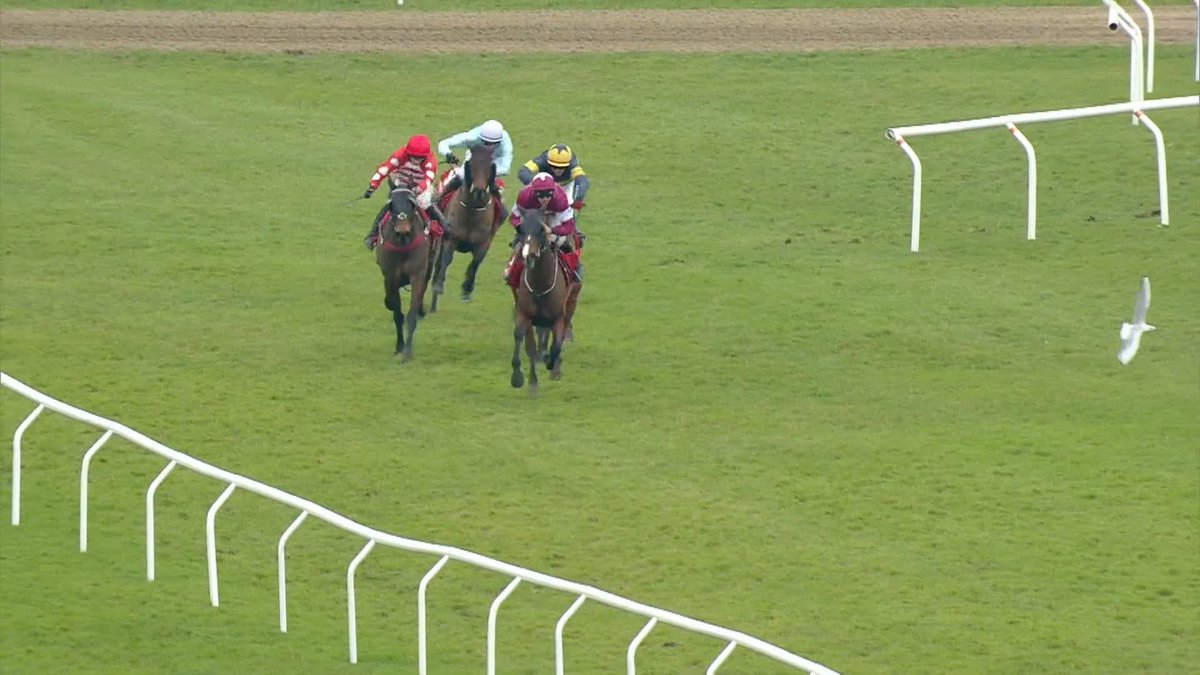 "One of the GREATEST MINDS in Sport!" 🥺 Ruby Walsh with some beautiful words on Jack Kennedy's mental strength after his win on Favori De Champdou 👏 #ITVRacing | Ruby Walsh | jack kennedy