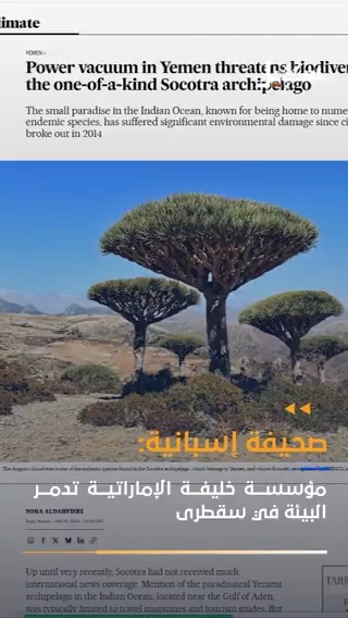 صحيفة إسبانية: سرقة وبيع المرجان في سقطرى، وإدخال حشرات مدمرة بواسطة مؤسسة خليفة الإماراتية