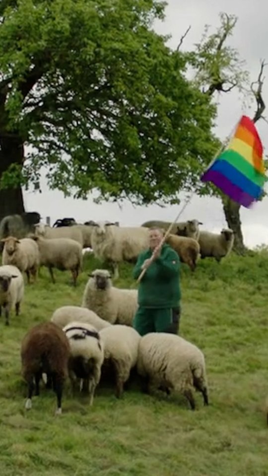 Here's how this man's sanctuary for gay sheep is benefitting LGBTQIA+ causes. #GoodNewsOnly