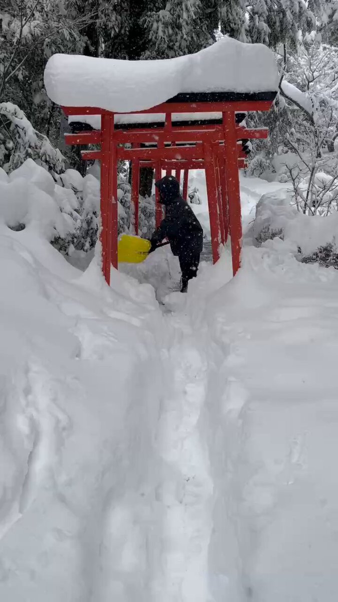 巫女も雪かき頑張ってくれてます！ 神社にお越しの方は気をつけてお越しください⛄️