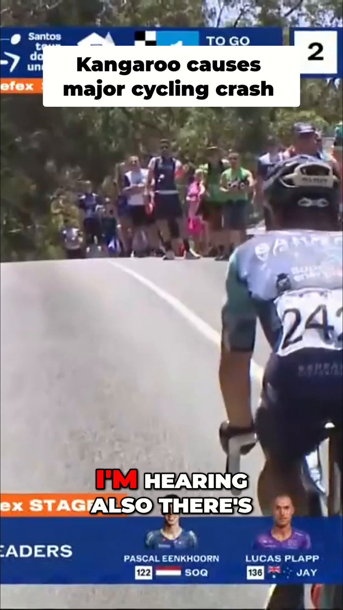 Kangaroo Crashes Cyclist In Shocking Wildlife Encounter! #TDU