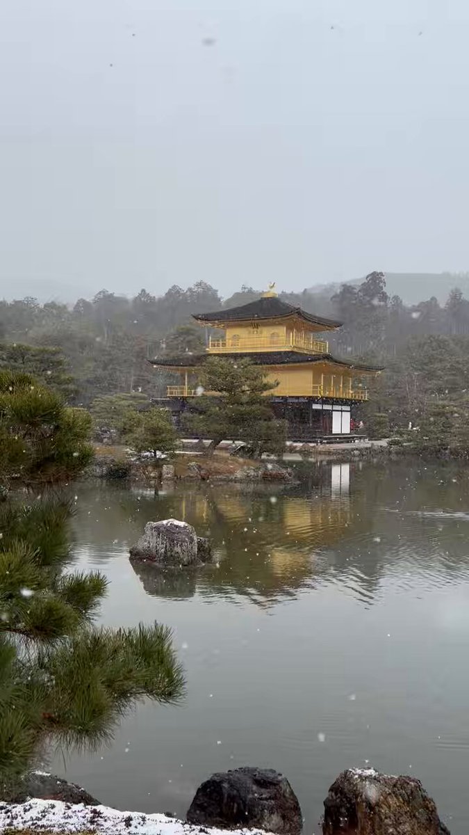 Aujourd’hui à Kyoto, c’est le pavillon d’or 🇯🇵