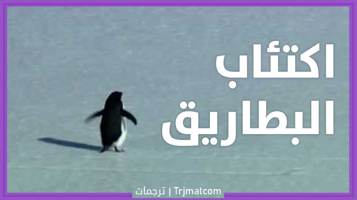 من وثائقي Encounters at the end of the world: عندما يُصاب البطريق بحالة من الإكتئاب، يقرر حينها الخروج من مستعمرته وبعيدًا عن المحيط للإتجاه نحو الجبال الثلجية في مسيرة تمتد لأكثر من 70 كم مشيًا على قدميه ليواجه موته المحتوم 💔