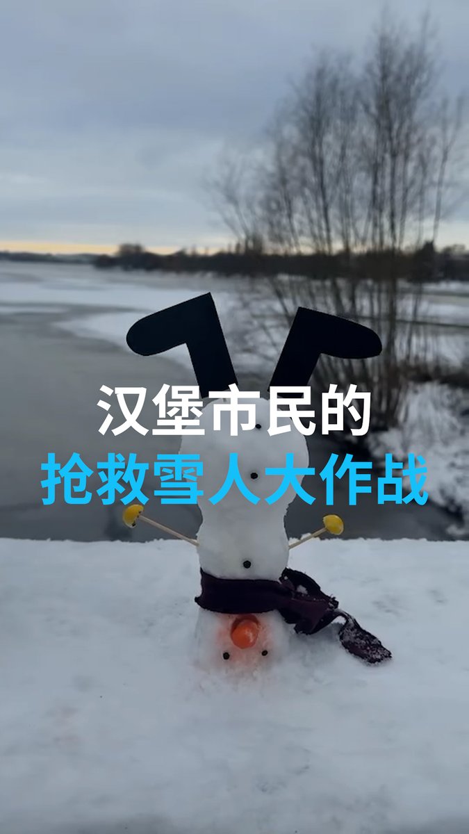 年初德国下大雪时，一名男子将汉堡一座桥上的雪人通通拍落，其他市民立刻发起“抢救雪人大作战”。☃️#dweuromaxx