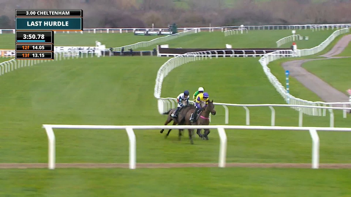 The New Lion is dividing opinions once again. In my view he has a huge chance in a Champion hurdle. Hes won that nicely off a mega slow pace so clearly has gears. Not had a race to suit yet. With poor Gino now out, its a poor renewal. Have to go for it!