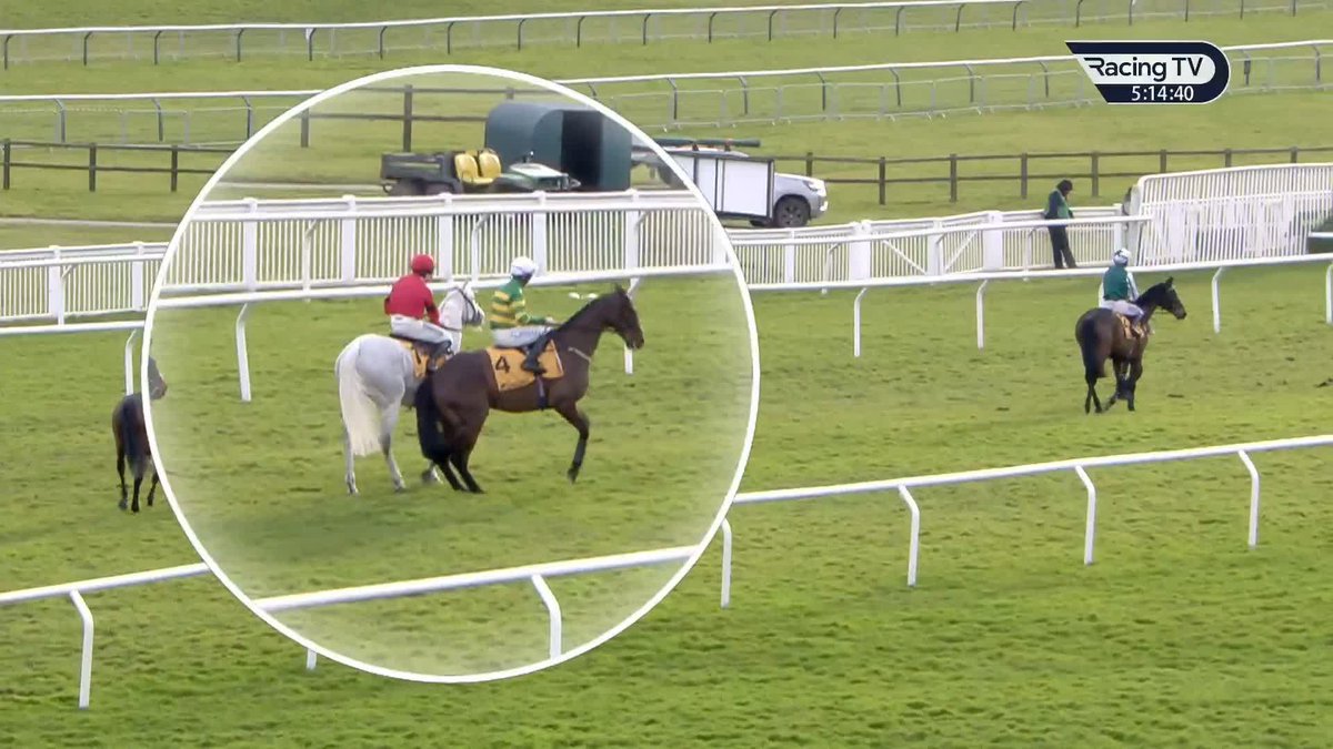 🇬🇧障害重賞でレース前に人気の一角だったグレイドーニングが出走馬からキックを食らう珍事が発生 ↓ グレイドーニングは3着、蹴った馬が優勝