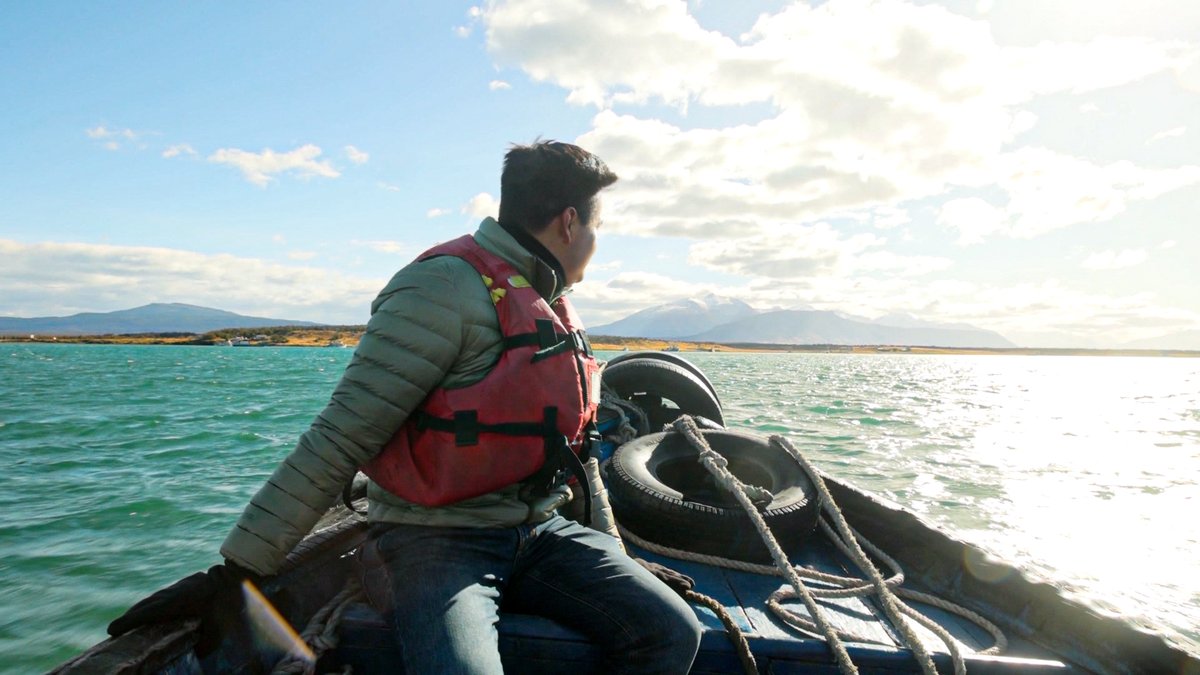 En la Patagonia chilena hallaron poliestireno expandido en vacas debido a residuos de la salmonicultura, una actividad que contamina y afecta territorios indígenas y zonas rurales. 'RT Reporta: 🎥 Alex Piñón