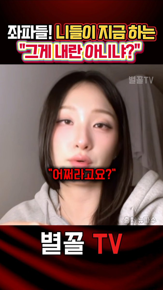 "중국인 무비자가 내란이지" 보수 유튜버 속 시원한 일침