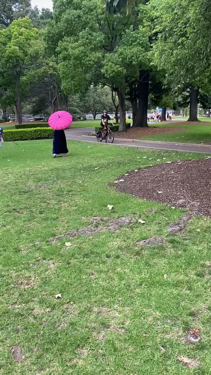 Part 2 of when this ‘aborigine’ abused us and threatened us whilst we had an Australia Day picnic in a Sydney park. He tried to pull up our flags.