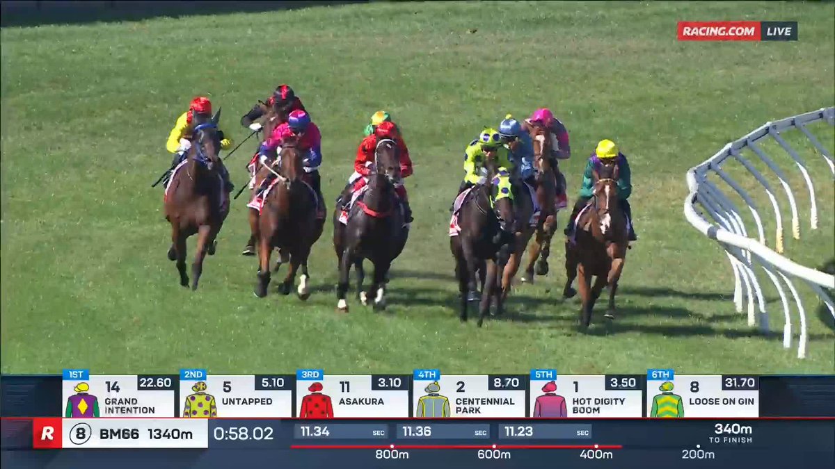 Geelong Race 8 I Asakura That was IMPRESSIVE ๐ฅ Mitchell Freedman's Asakura was electric over the concluding stages โก๏ธ ๐บ Ch. 78/68, Foxtel 529, Kayo or via our app REPLAYS:
