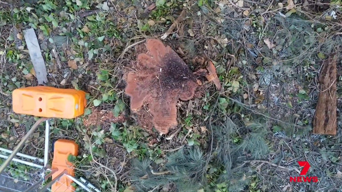 A strip of trees in Melbourne's east has become the frontline in a battle between residents and road workers next to the Eastern Freeway. Dozens of mature trees have already been cut down in a small park so far, and residents fear their house prices will drop. Paul Dowsley