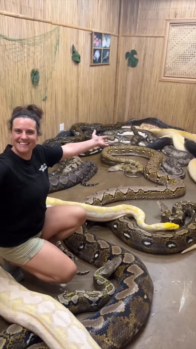 This is a room I would never enter no matter what
