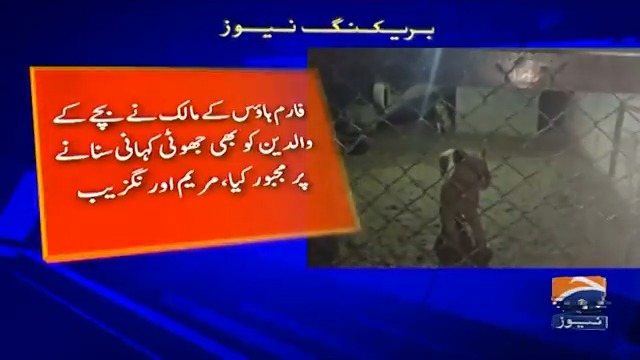 وزیر اعلیٰ مریم نواز کا پنجاب بھر میں پالتو شیر رکھنے کی قانونی اجازت ختم کرنے کا فیصلہ
