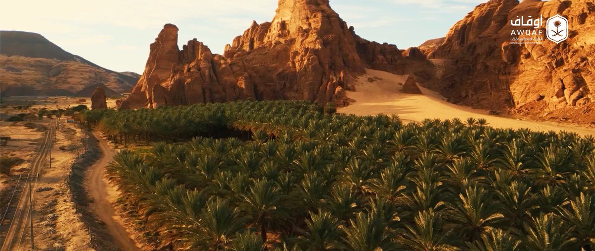 ضمن جهود الهيئة العامة للأوقاف لتنفيذ شروط الواقفين، أطلقت الهيئة خدمة تفويض استثمار الأموال، والتي أسهمت في تفعيل الأوقاف الأهلية المنزوعة، حيث نفخر اليوم بتفعيل أكثر من 1000 وقف أهلي، بعوائد تجاوزت 1.56 مليار ريال.