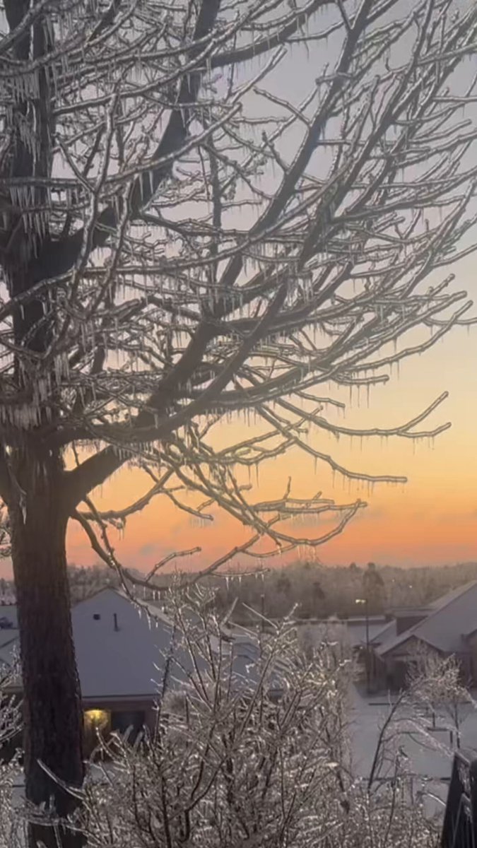 It is a bitter cold morning in Oxford, Mississippi with most of the area without power. We are working with United Cajun Navy and Team Dominator Storm Recovery to chainsaw driveways and check on people this morning. Please send an address if you have loved ones you would like us to check on.