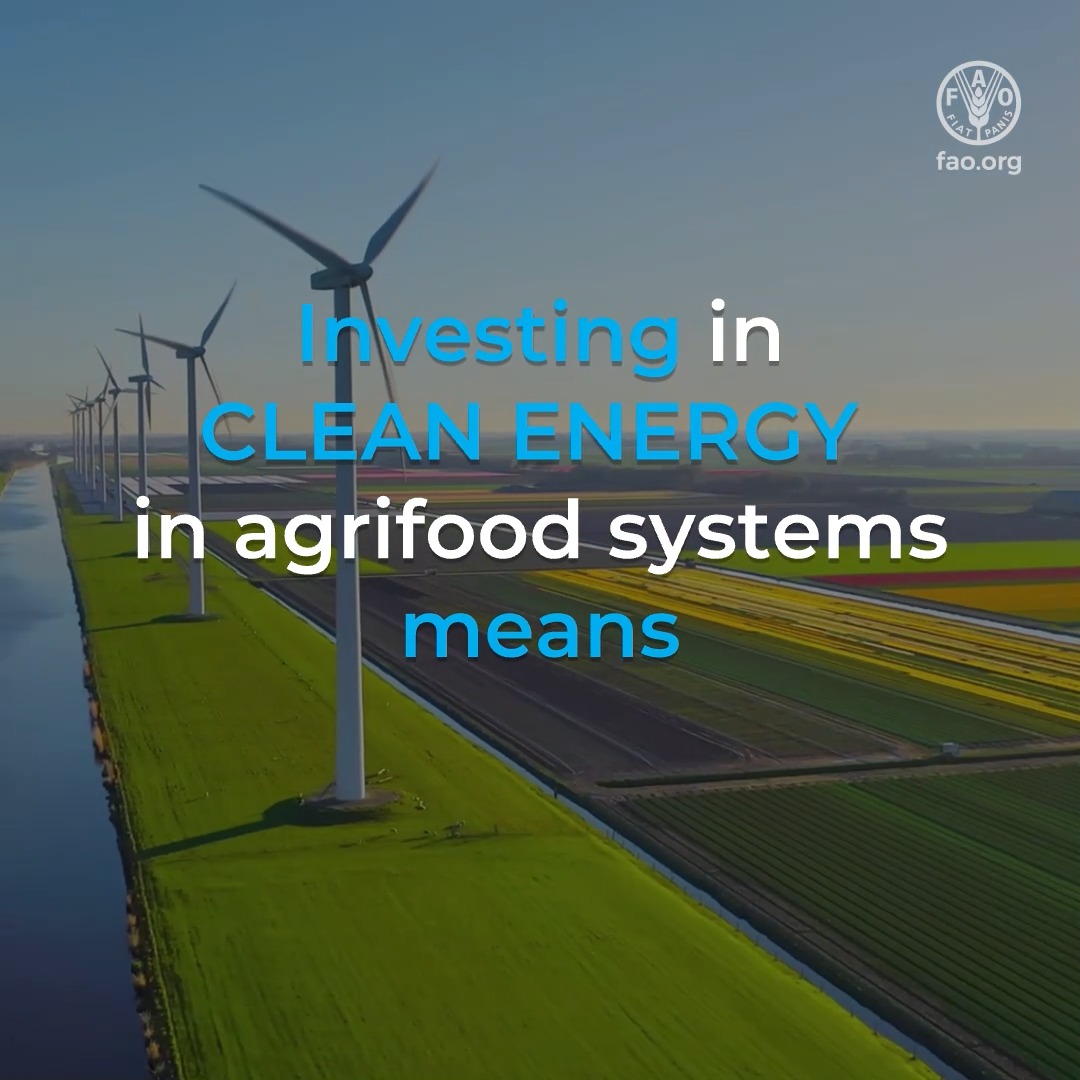 Investing in #CleanEnergy in agrifood systems means: 📉 Lower GHG emissions 🫁 Cleaner air ⚕️ Better health 💚 Greener ecosystems ⚙️ Thriving rural economies ♻️ More sustainable future .. and more! 🔗