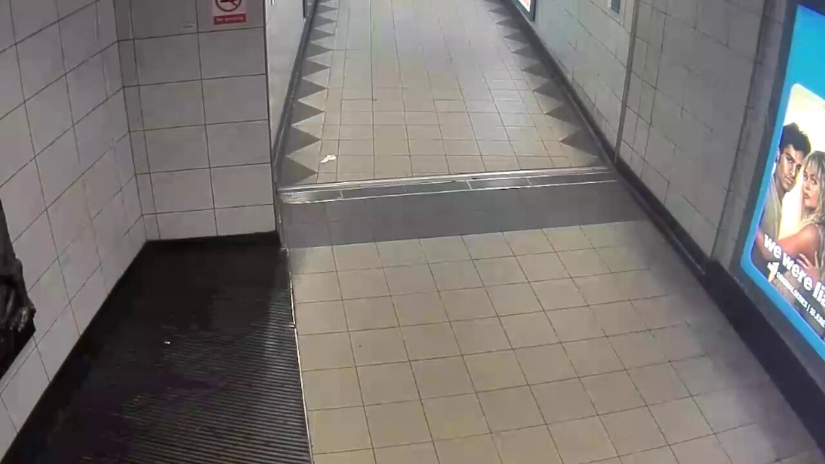 Footage shows 'dangerous predator' Craig Anderson grinning as he walks through a Tube station. He pushes his way through ticket barriers as he wanders around looking for women to assault. Anderson targeted five women on trains in London and Surrey and now faces jail.