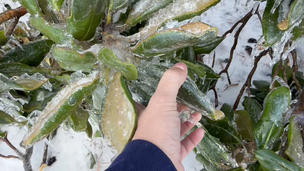 This is actually INSANE. I have never seen ice like this before… 🤯 📍Oxford, MS