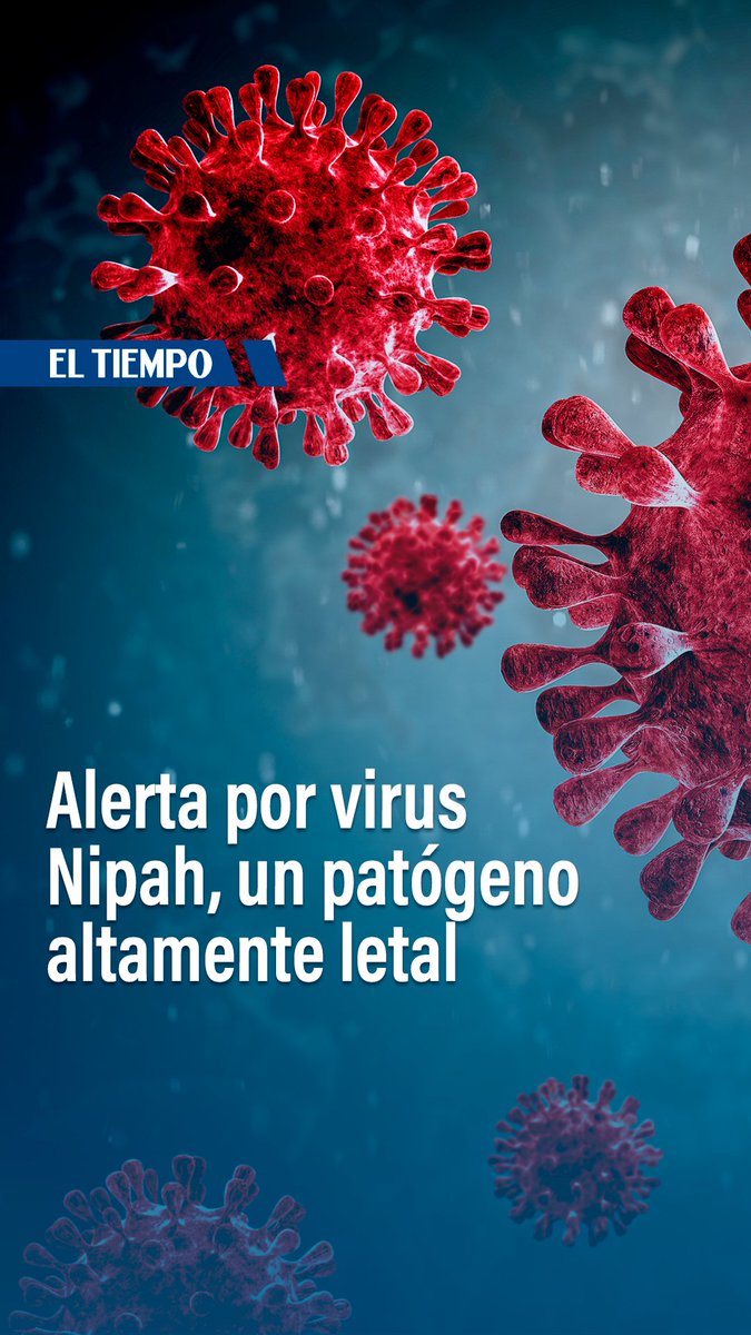 🦠🔴¿Por qué hay alerta en el mundo por el virus Nipah? ¿Sabía de su existencia? En el video, Juanita Toledo, le cuenta📹 Edición💻: Jerson Cruz