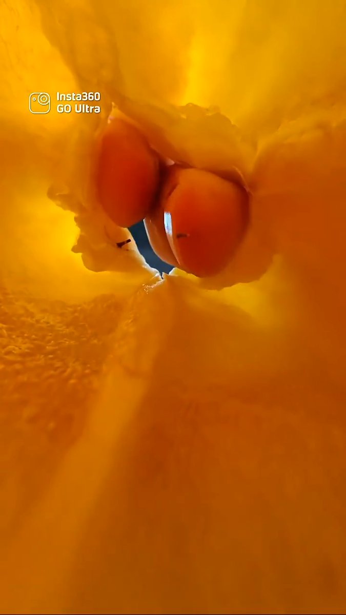 Crisp!🎙️ Mic Air catches every detail (shot by wasaijiuduile)