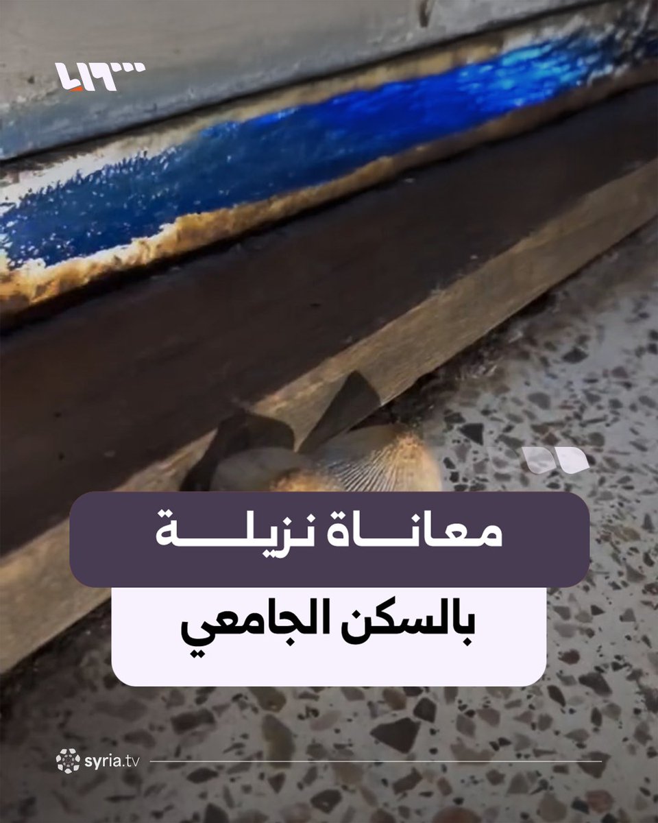 "هاد نوعية سامة أكيد".. طالبة نزيلة في السكن الجامعي بدمشق تتحدث عن معاناتها بانتشار الفطر داخل غرفتها #نيو_ميديا_سوريا