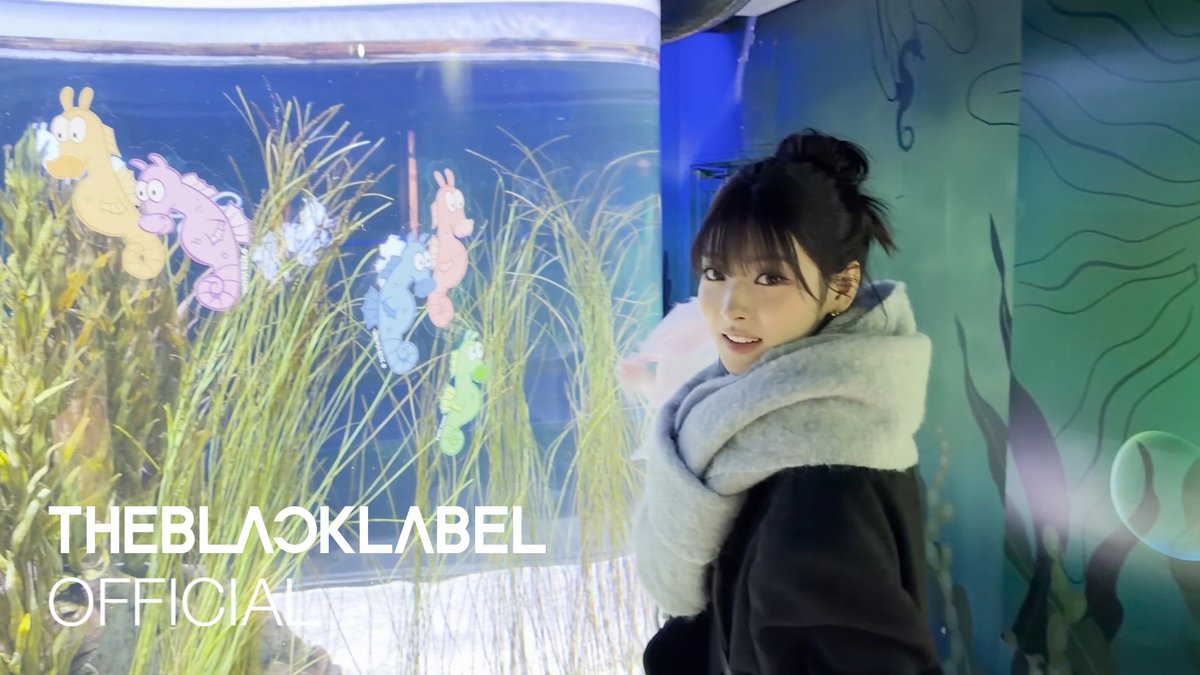 -ˋˏ 누구냐, 넌?ˎˊ- 수속성 냥이의 아쿠아리움 탐방기〰️🪼 | Say hi to ANNA’s sea friends 🐠👋 | vievv by ANNA 🔗 #MEOVV #미야오 #vievv #THEBLACKLABEL #더블랙레이블