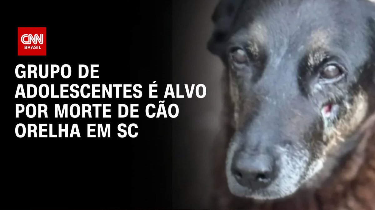 Grupo de adolescentes é alvo de morte de animal; assista #CNNNovoDia