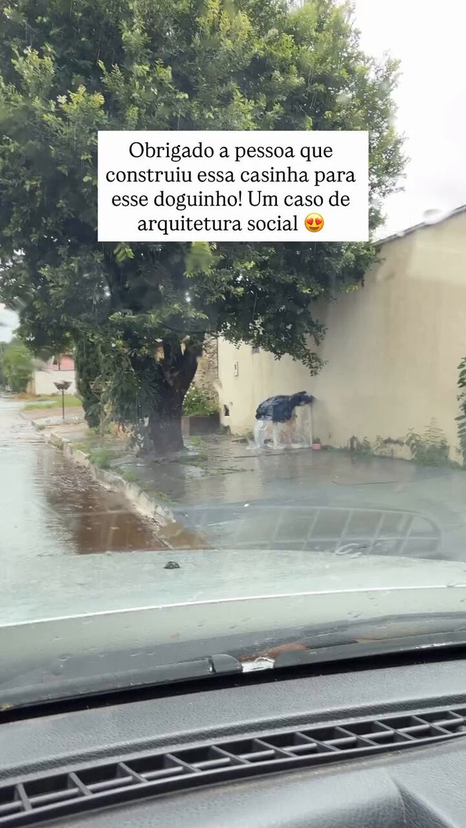 ⚠️🚨Em meio a tanta notícia e dolorida eu trouxe algo legal para nos dar uma aquecida no coração! Olha que legal que construíram para o doguinho de rua! 🥰❤️🥹 Eu amei!!👏🏻👏🏻👏🏻 (Via arquitretas)