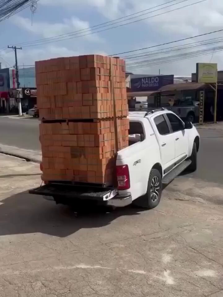 "El envío es muy caro. Solo llevaré 1000 ladrillos en mi camioneta." 🤔