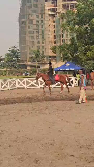 STANDING ON THE HORSE 🐎