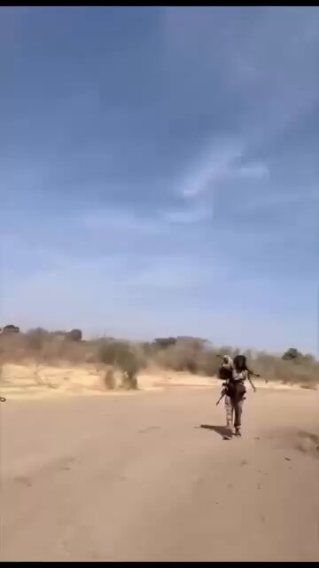 🟢 تصدت القوات المسلحة والقوة المشتركة نهار اليوم لموجة هجوم كبير شنته مليشيات الدعـ.ـم السـ.ـريع والحركة الشعبية/الحلو على مدينة هبيلا بجنوب كردفان 🟢 تكبدت المليشيات خسائر فادحة في الأرواح والعتاد مع هروبهم وترك عشرات المركبات خلهم بكامل عتادهم الحربي