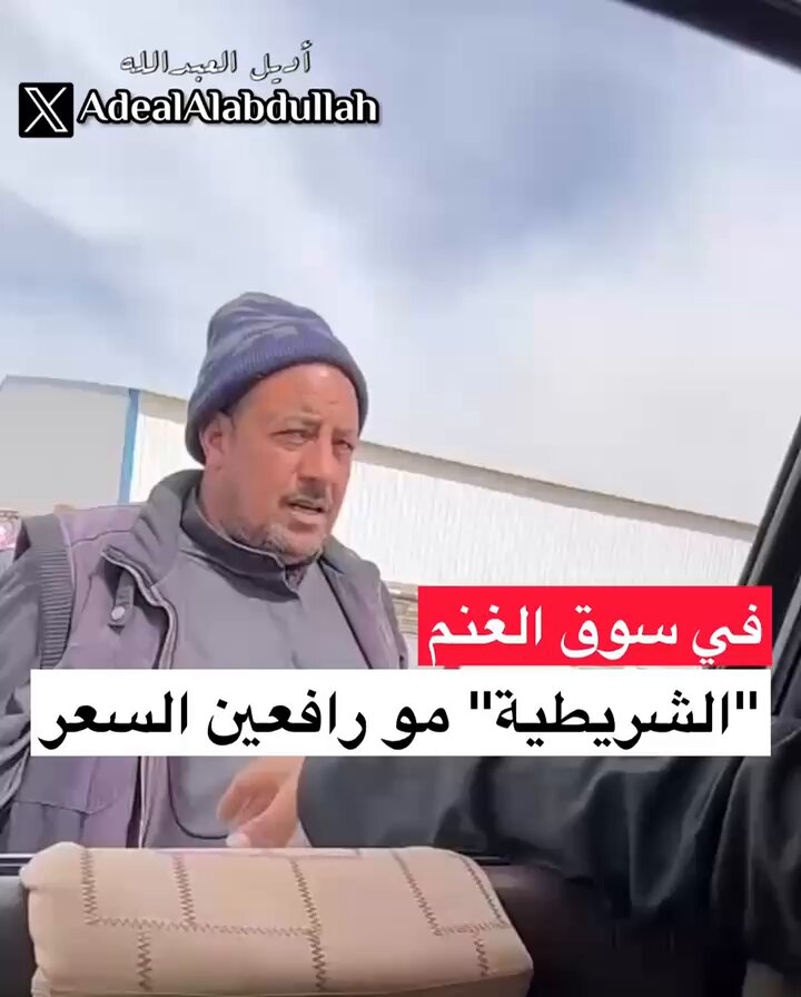 في سوق الغنم .. "الشريطية" مو رافعين السعر !