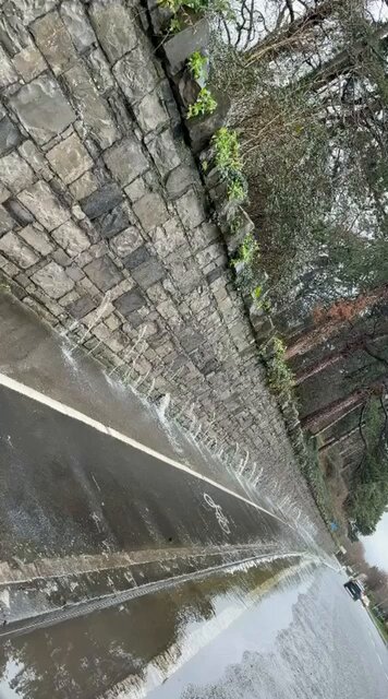Hit the follow button and share ▶️ The Phoenix Park is leaking 😳
