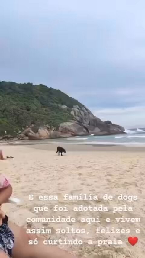 🚨‼️Vocês estão mal? Pois vejam esse vídeo do orelha, anos antes dele ser brutalmente espancado e deixado agonizando. Lembrem o motivo de estarmos fazendo o que estamos fazendo. Esse ERA o Orelha antes daqueles monstros #justicapororelha
