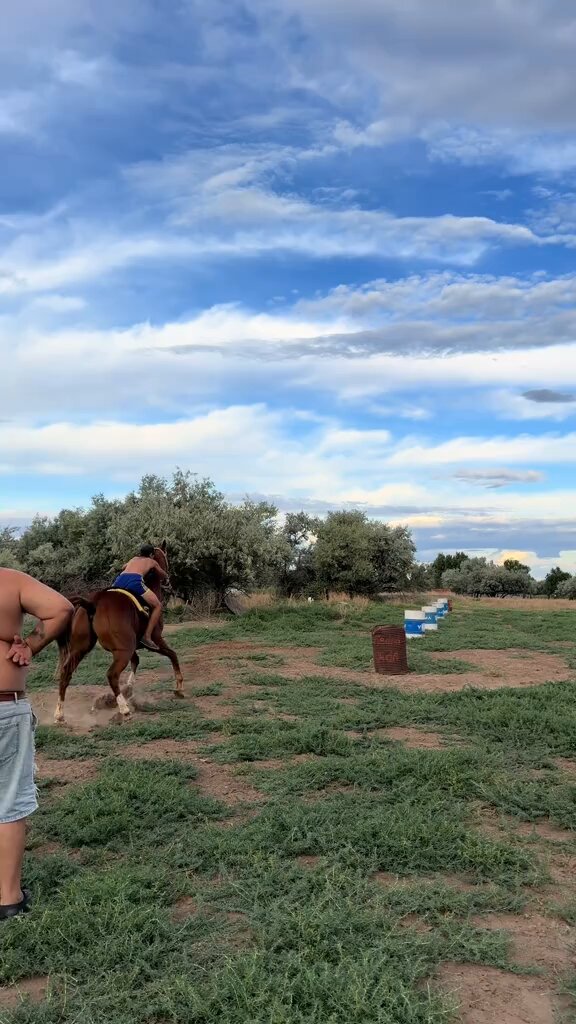 - el 🐴 al final: bueno listo chau