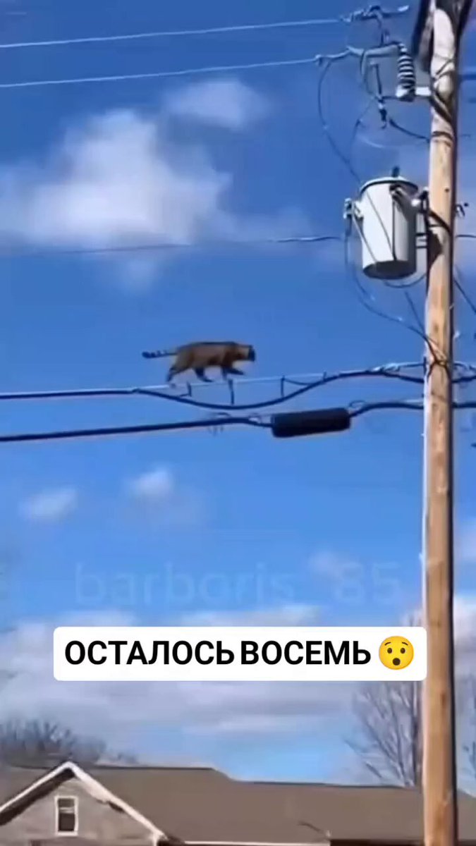 Ну ничево..