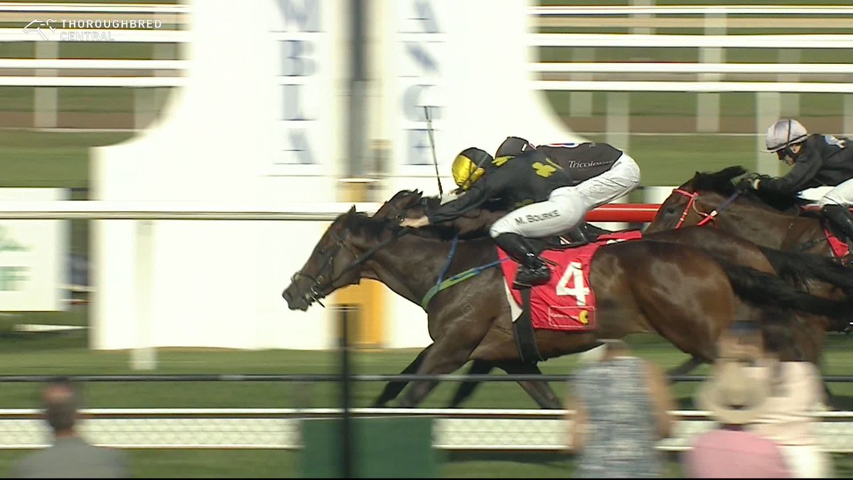 Tsarevich produces an incredible finish to win Race 5 at Kembla Grange Races! 🔥 John Sargent Molly Bourke