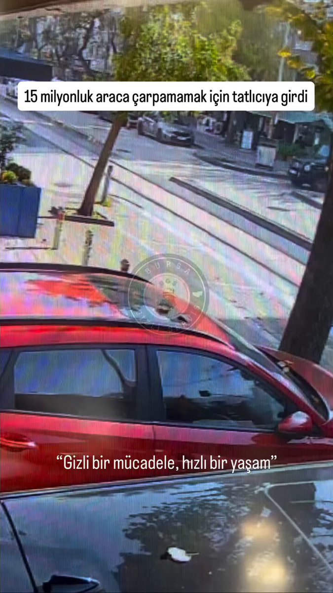bu lüks aracın sahibi yürüyüp gidecek mi şimdi?