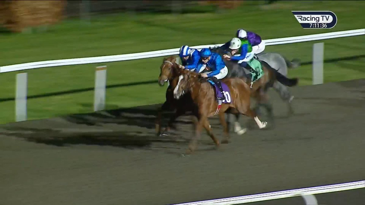 🗣️"This is one of the nicest horses I've sat on." Safe to say that Connor Planas was impressed with the well-bred Palladas, who followed in the footsteps of some illustrious names in winning the 1m maiden.