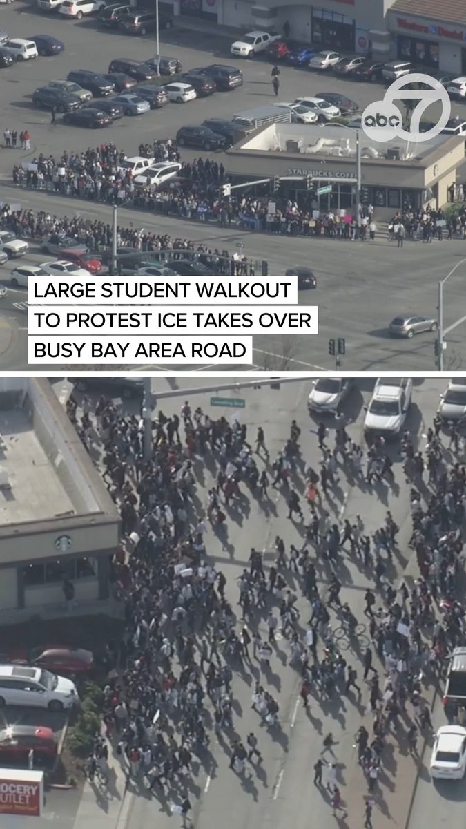 A large student walkout is happening to protest ICE with students from six different high schools in the East Bay. The crowd has taken over the median, sidewalk and the front of a Starbucks store. The walkout comes as tensions rise nationwide over immigration enforcement tactics, following a second deadly shooting involving federal agents in Minneapolis. For more information, click the link below.