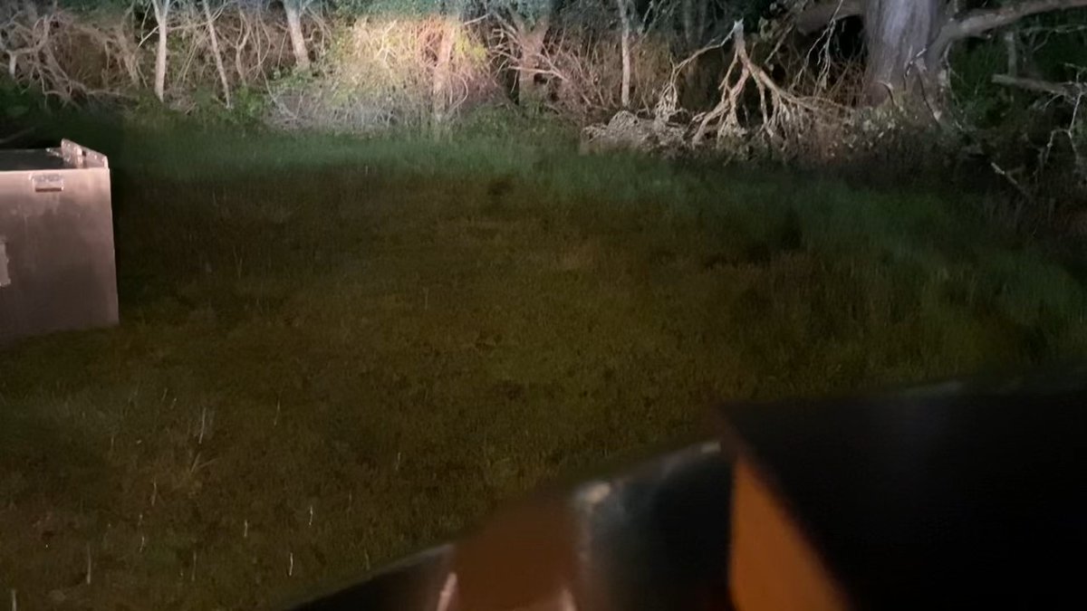 A mountain lion named 157M is released back into the wild after being removed from San Francisco. Wildlife officials said he was in great health. 🎥: Courtesy of California Department of Fish and Wildlife Read more >>