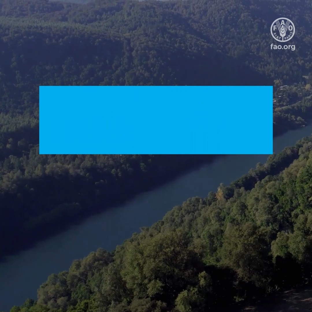 Because empowering countries is essential for long-lasting #ClimateAction. More about Food and Agriculture Organization-Green Climate Fund partnership: