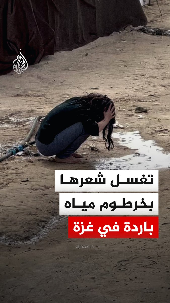 مقطع فيديو يوثق قيام طفلة بغسل شعرها بخرطوم ماء في أحد الشوارع الفرعية في مخيم للنازحين بغزة، في ظل ظروف فصل الشتاء القاسية وبرودة الطقس #فيديو