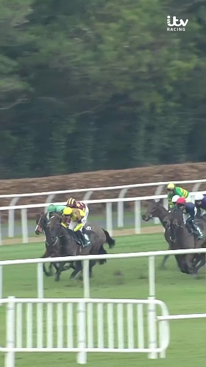 "𝐓𝐇𝐄 𝐒𝐓𝐔𝐅𝐅 𝐎𝐅 𝐋𝐄𝐆𝐄𝐍𝐃𝐒!" 🤩🏆 Can Galopin Des Champs win a FOURTH CONSECUTIVE Irish Gold Cup? 🏆🇮🇪 #ITVRacing