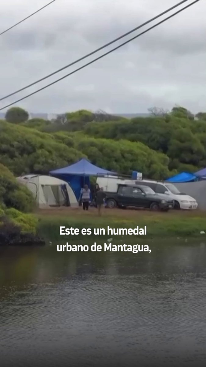 🔴 Un video evidencia a personas acampando en el humedal de Mantagua, ubicado en la comuna de Quintero, una actividad que está prohibida dado que se trata de una zona protegida.